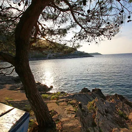 Apartamento Dijana-2 By Interhome